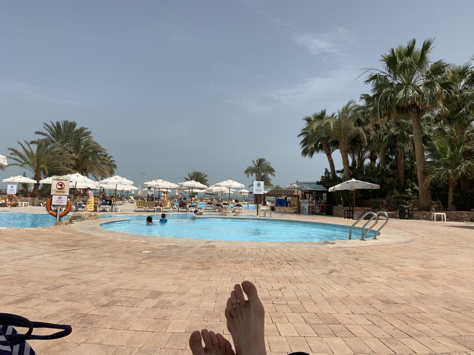 Pool Mövenpick Resort & Spa El Gouna