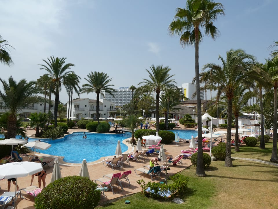 Pool Garden Saladina