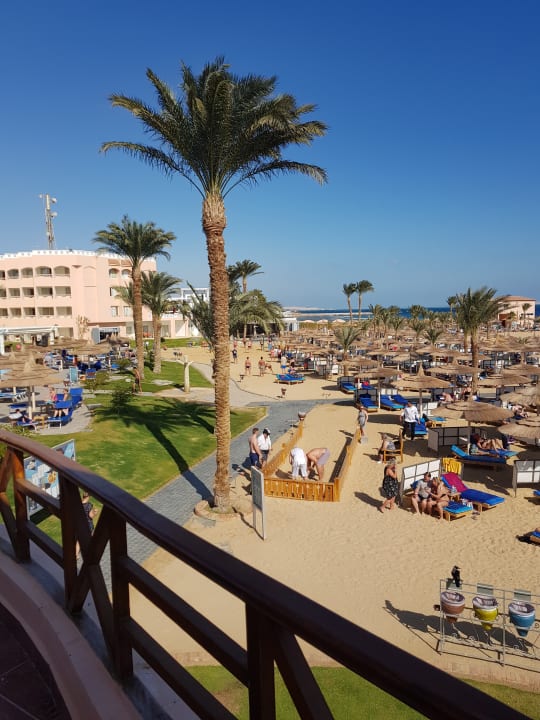 Ausblick Beach Albatros Resort