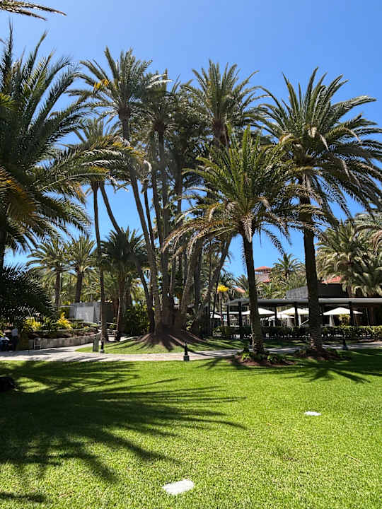 Gartenanlage Hotel Riu Palace Oasis