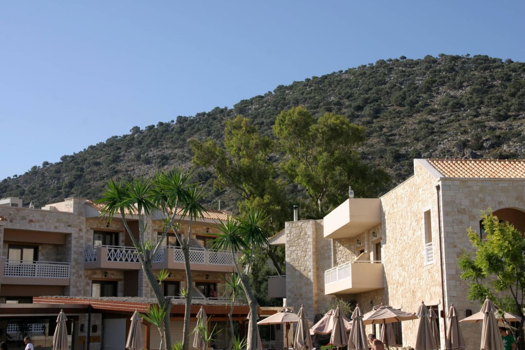 Blick auf die Berge Cactus Royal