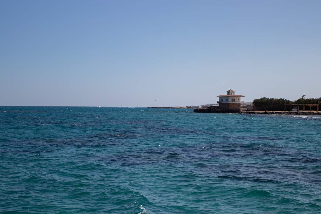 Ausblick Desert Rose