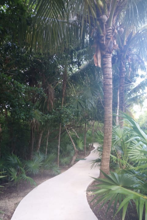 Gartenanlage Akumal Bay Beach & Wellness Resort