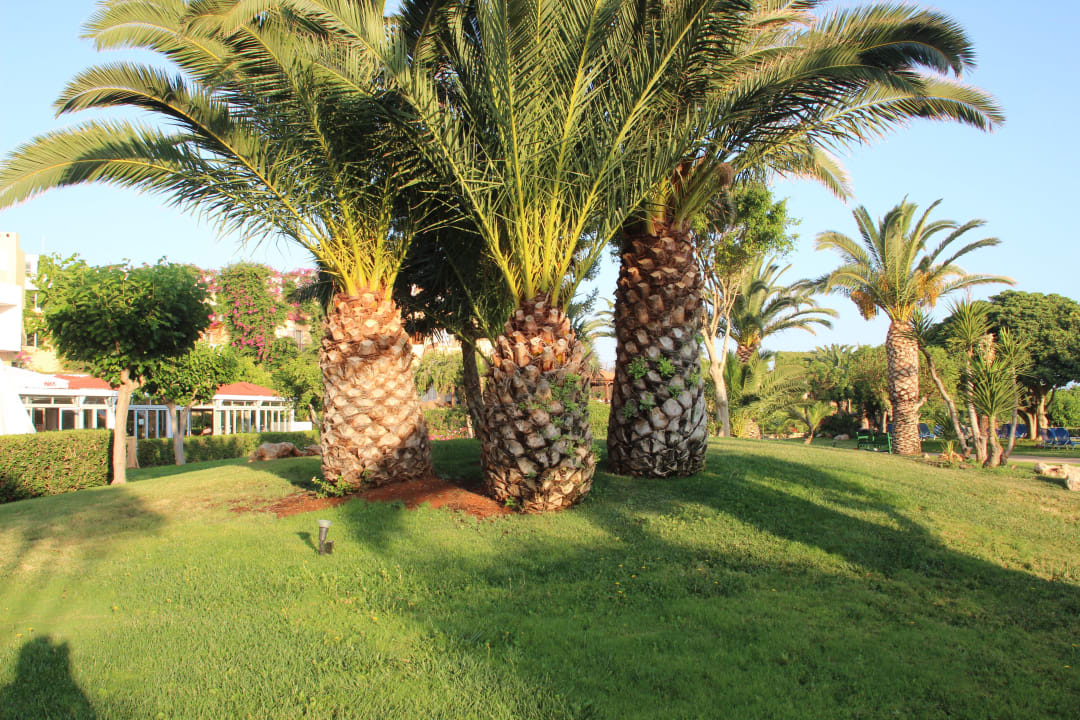 Anlage ums Hotel Anissa Beach & Village