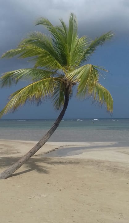 Strand Bahia Principe Grand El Portillo