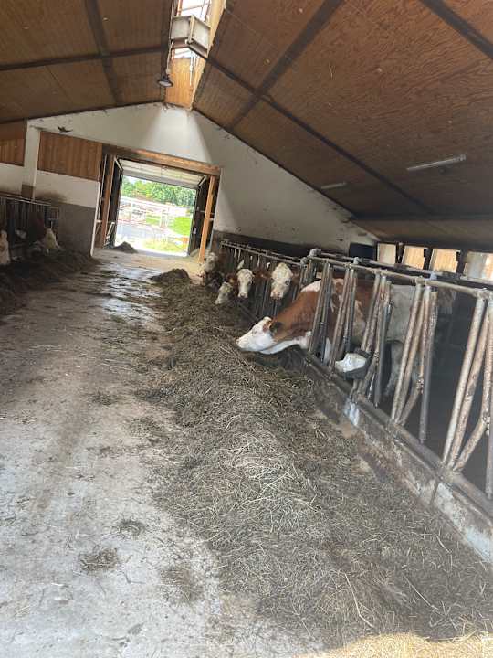 Sport & Freizeit Erlebnisbauernhof Achatz