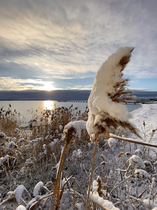 Außenansicht Strandhotel Dranske
