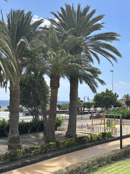 Gartenanlage Hotel Riu Paraiso Lanzarote