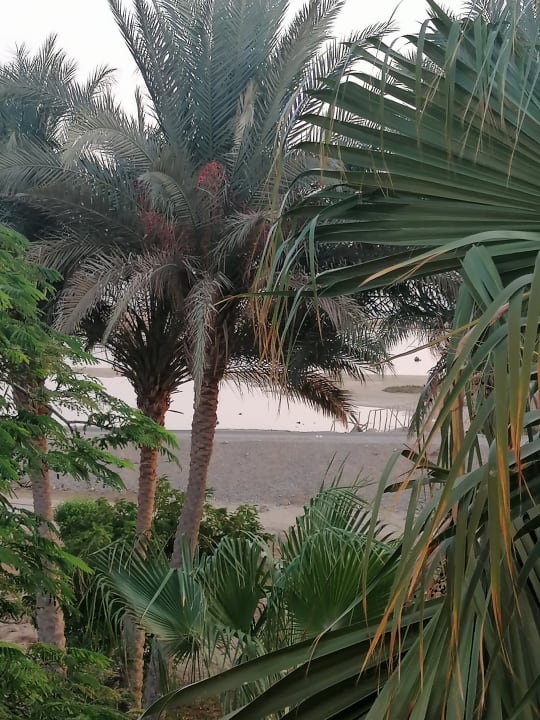 Gartenanlage SUNRISE Cardina Resort