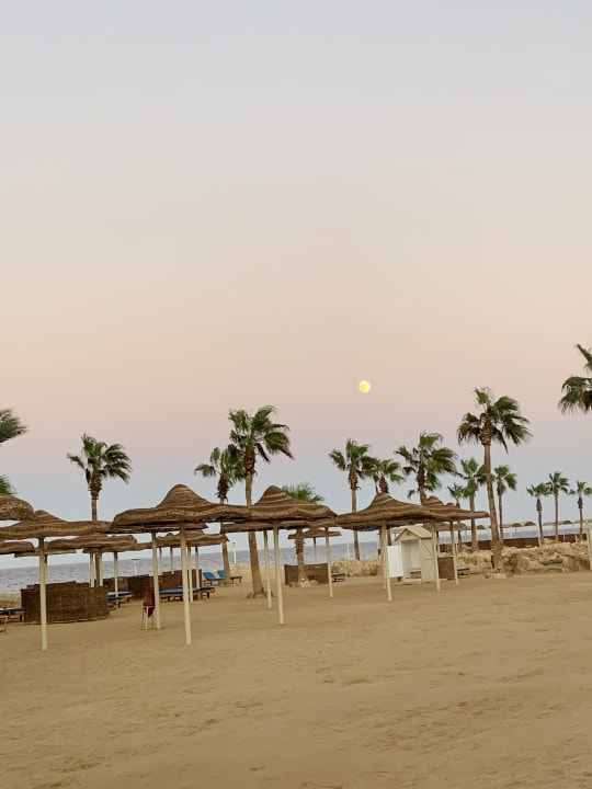 Strand Pickalbatros Citadel Resort