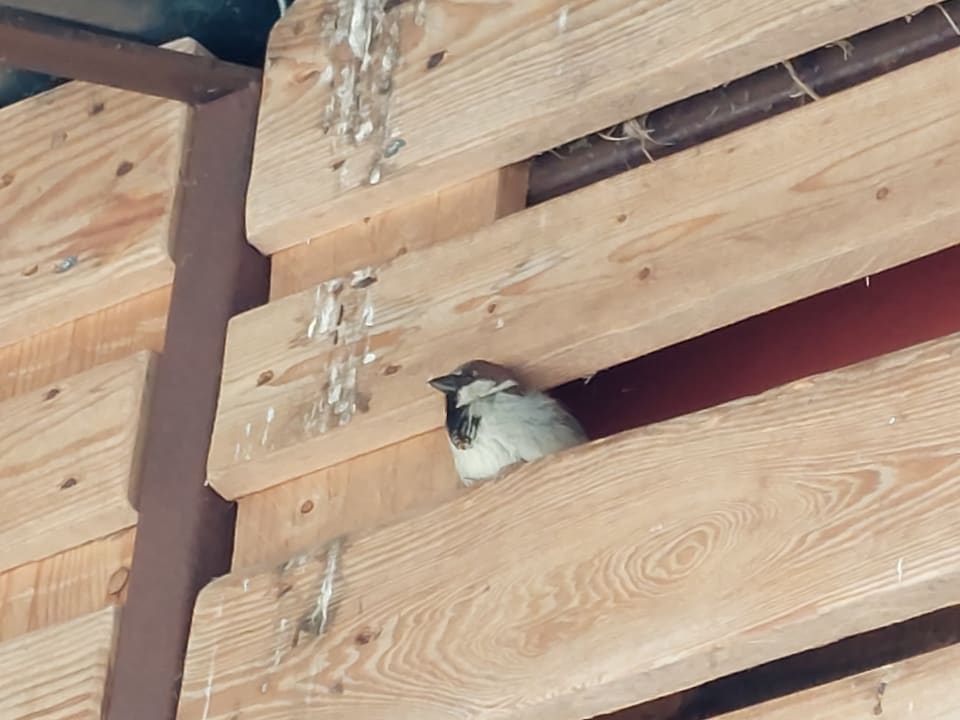 Außenansicht Alles Paletti Karls Upcycling Hotel