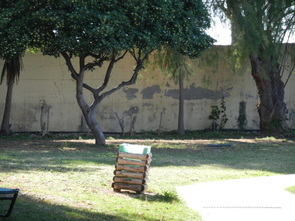 Blick aus unserer Tür Hotel Miramare Park