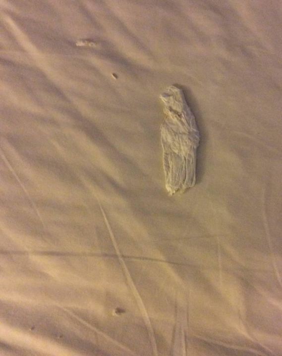 Das lag im Bett als ich die Decke zurück geschlage Iberostar Origin Playa Alameda