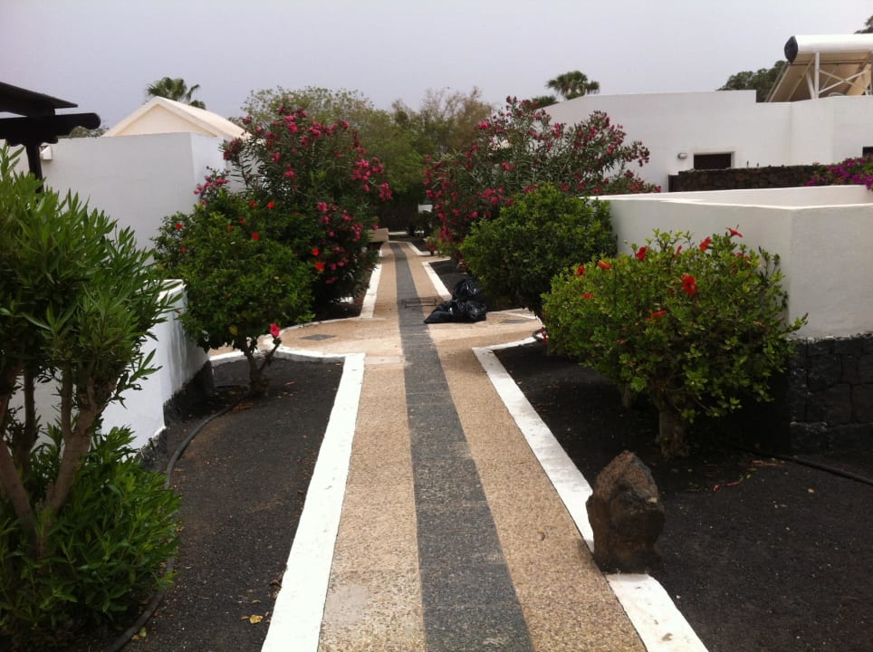 Gang zum Pool Bungalows Playa Limones