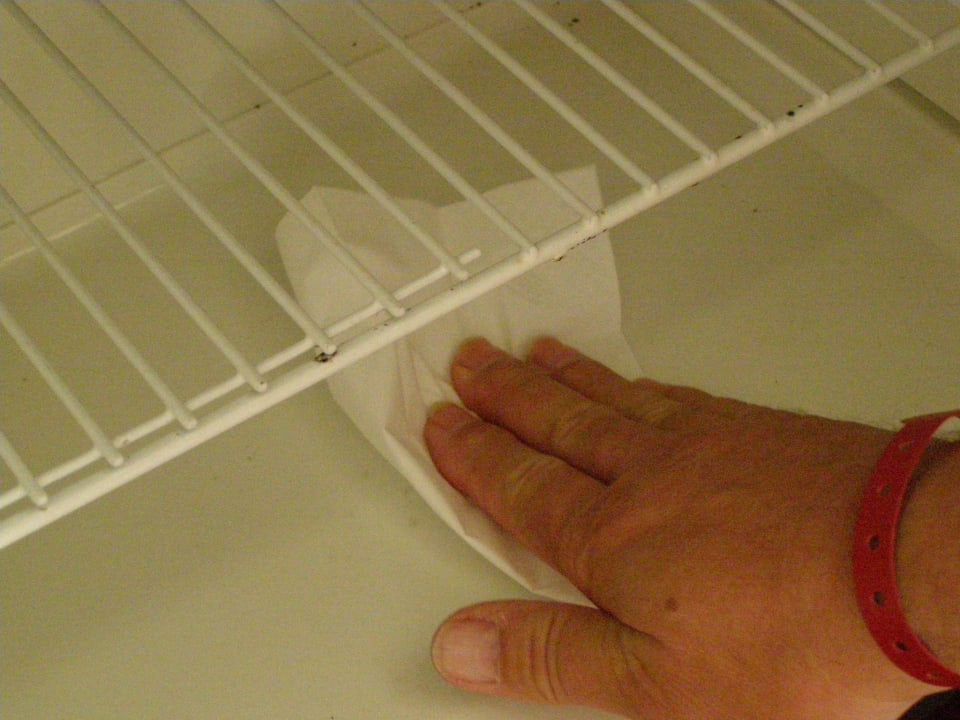 Kühlschrank  wird geputzt Hotel Bravo Djerba