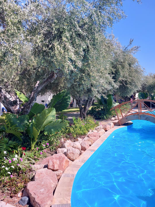 Pool TUI KIDS CLUB Alex Beach