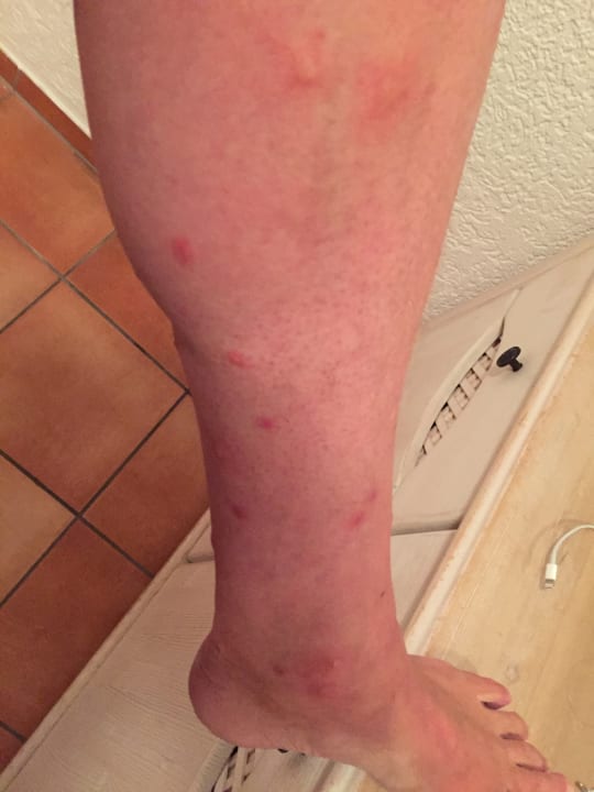 Zimmer Villa Giada Resort