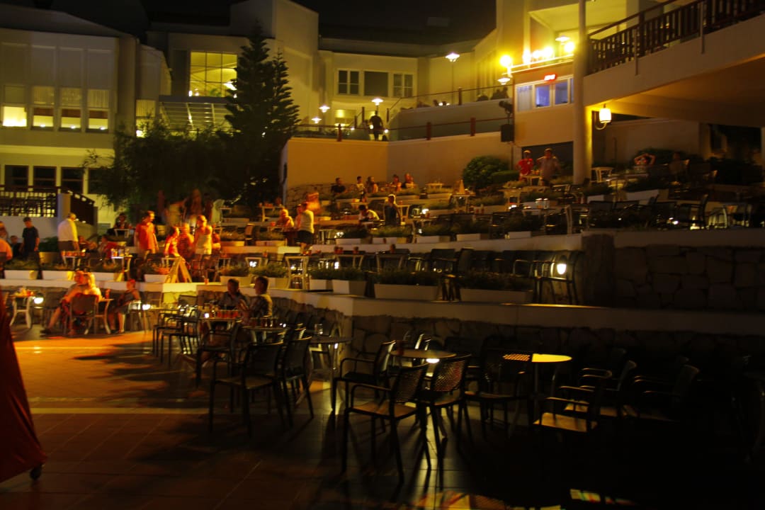 König der Löwe  PALOMA Perissia