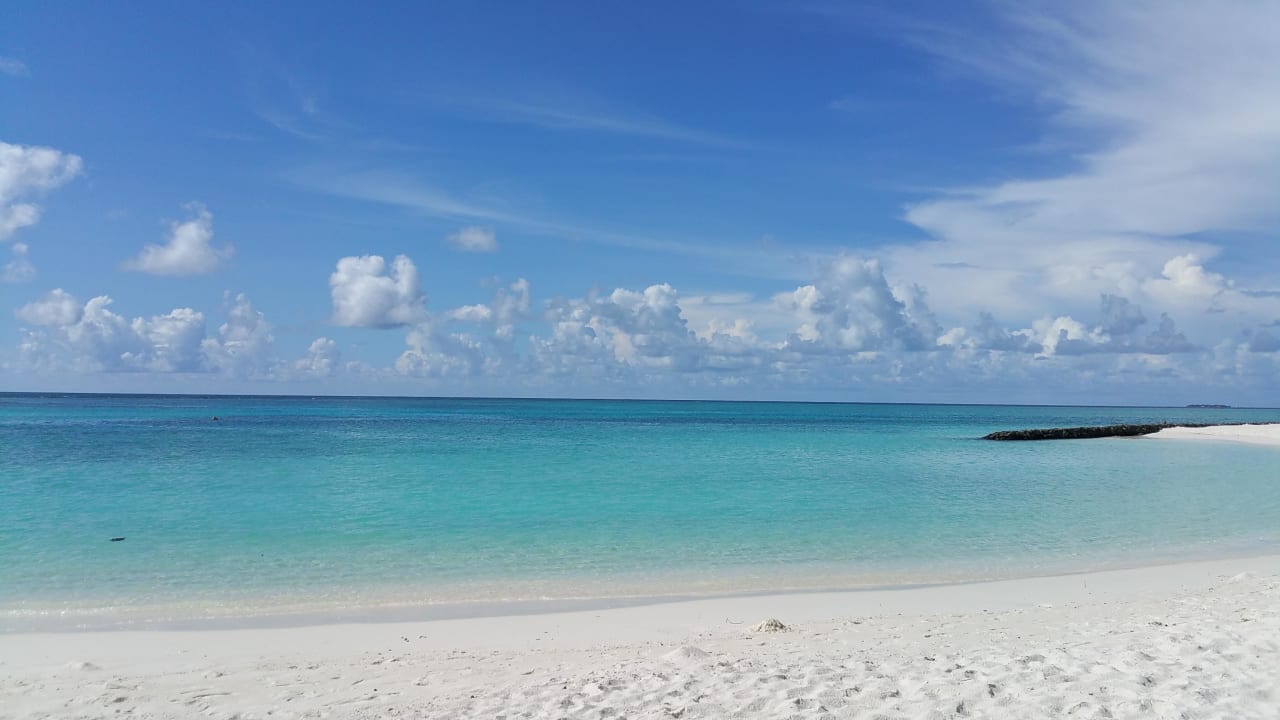 Strand  Summer Island Maldives
