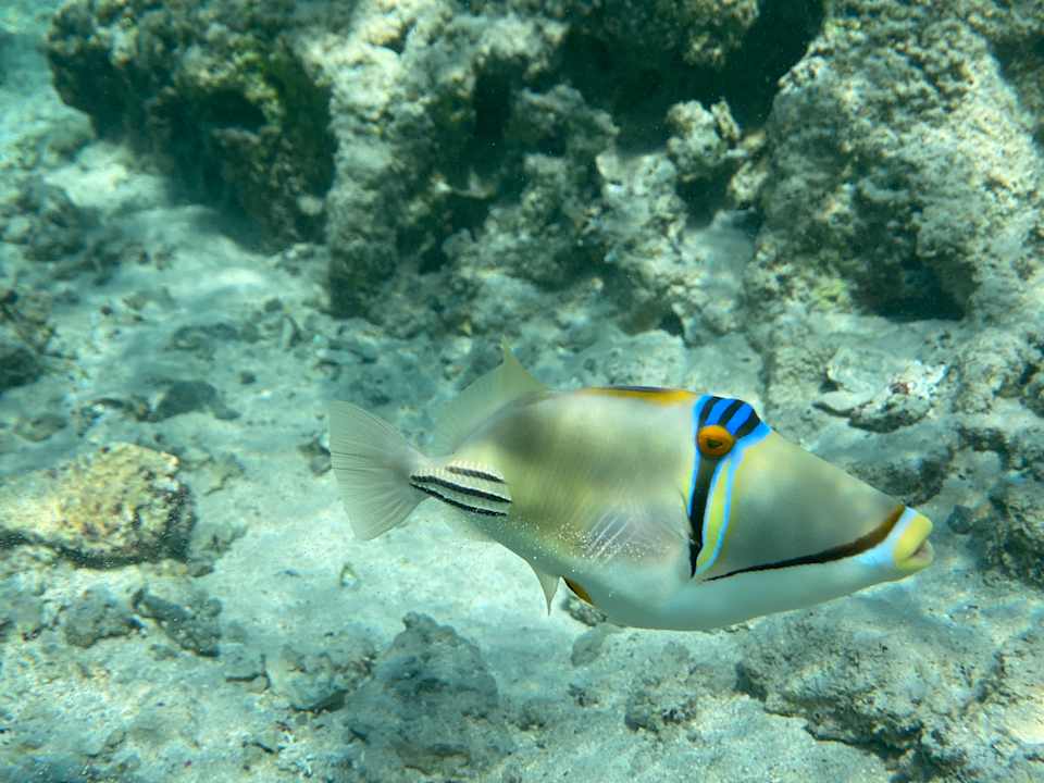 Strand Pickalbatros Villaggio Resort - Portofino