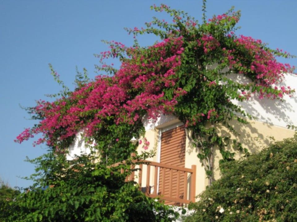 Einfach klasse Anissa Beach & Village