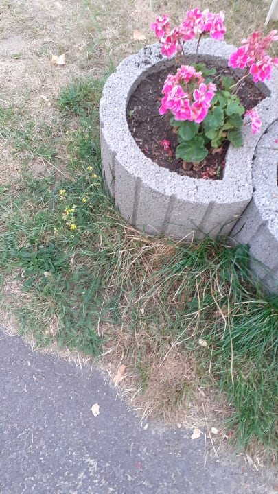 Gartenanlage Seehotel Brandenburg a.d. Havel