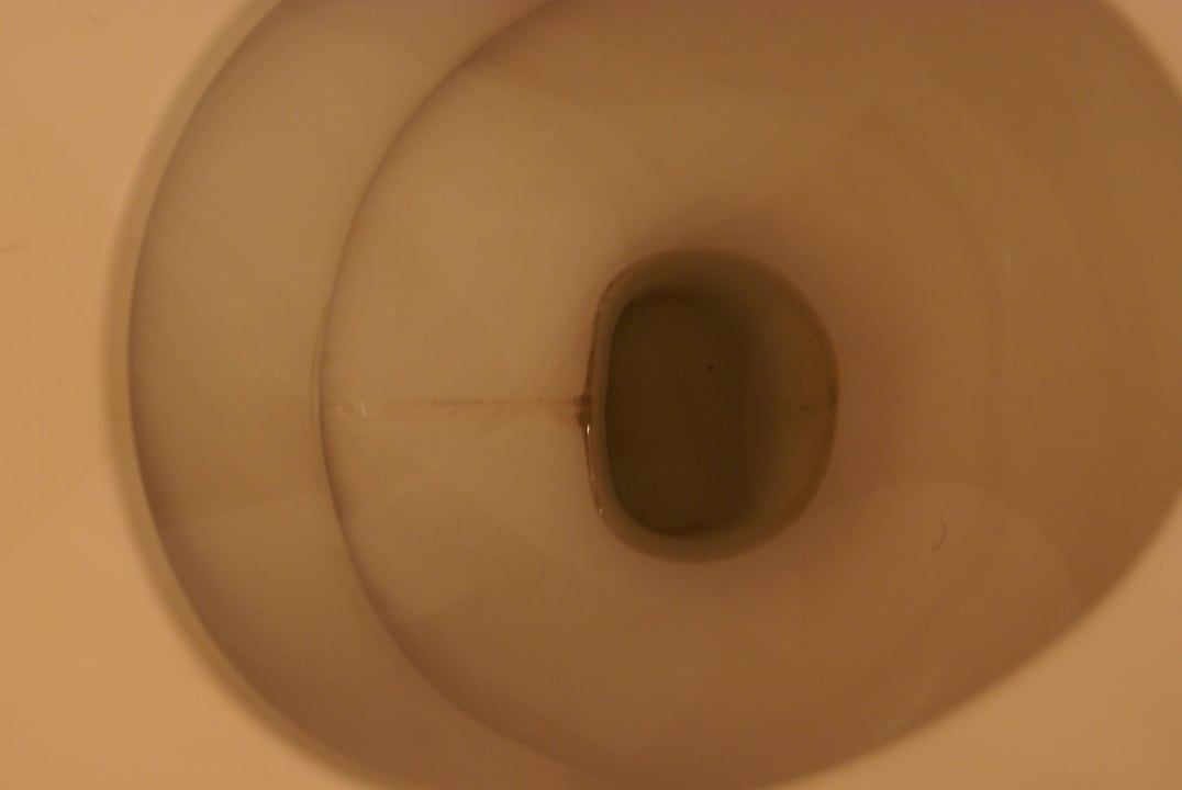 WC Steigenberger Conti Hansa