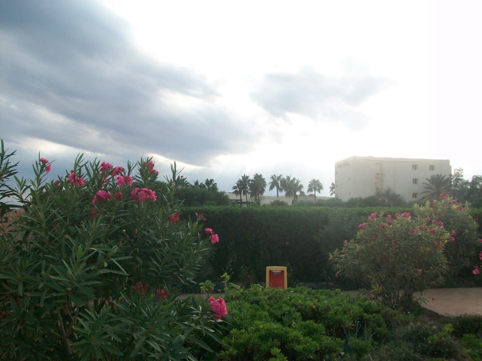 Дорога к пляжу Hawai Beach Club