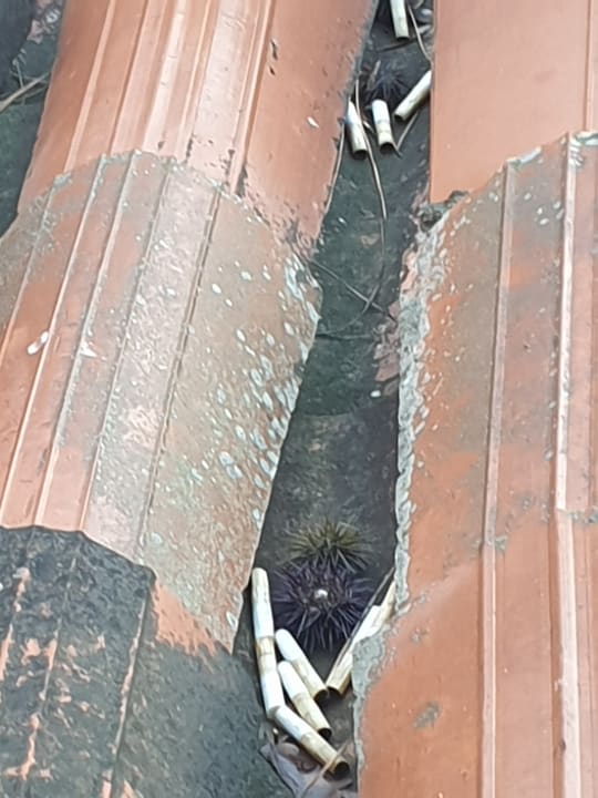 Zimmer Maistra Select Funtana All Inclusive Resort