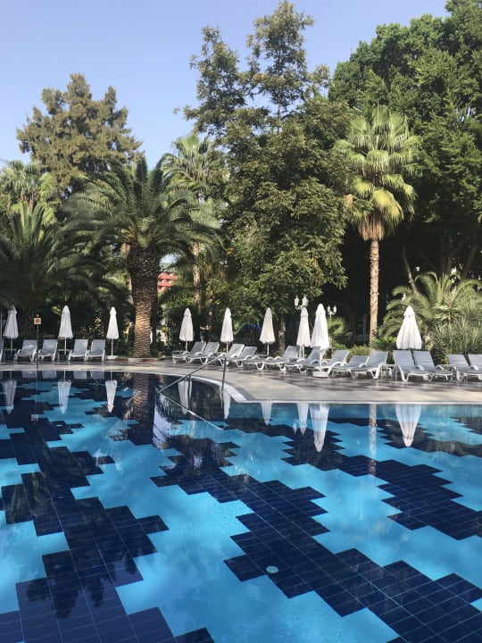Pool Hotel Botanik Platinum