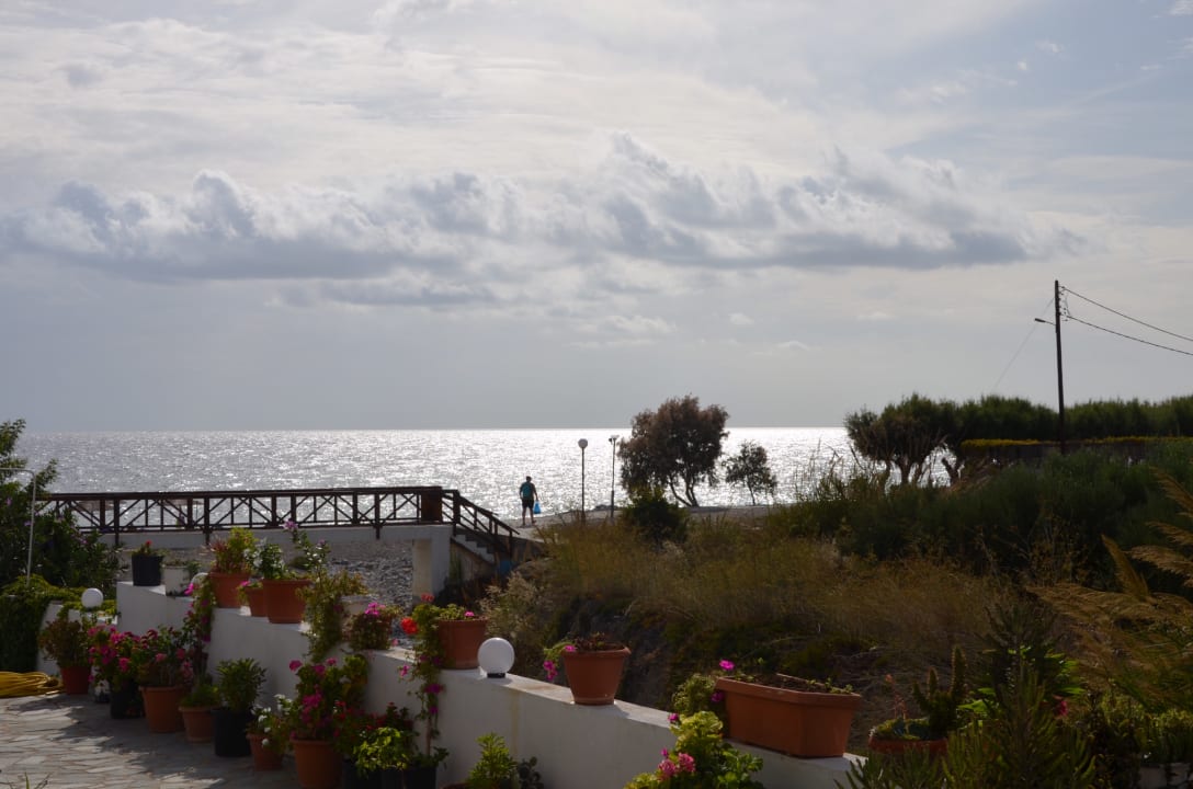 Gartenanlage Hotel South Coast