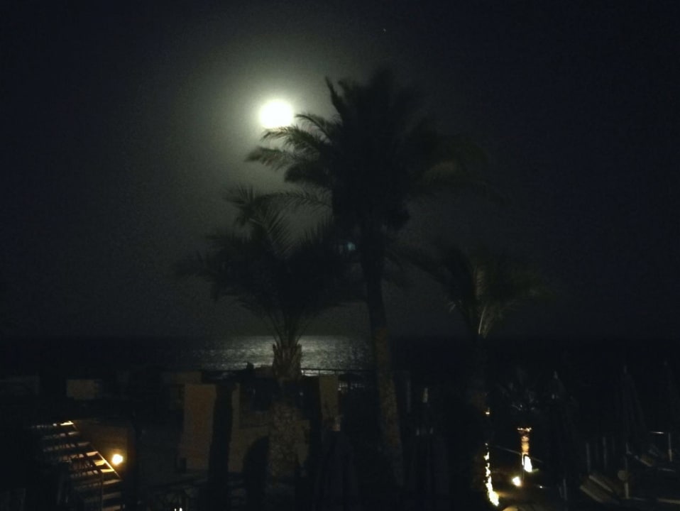 Ausblick Shams Prestige Abu Soma-Adults Only