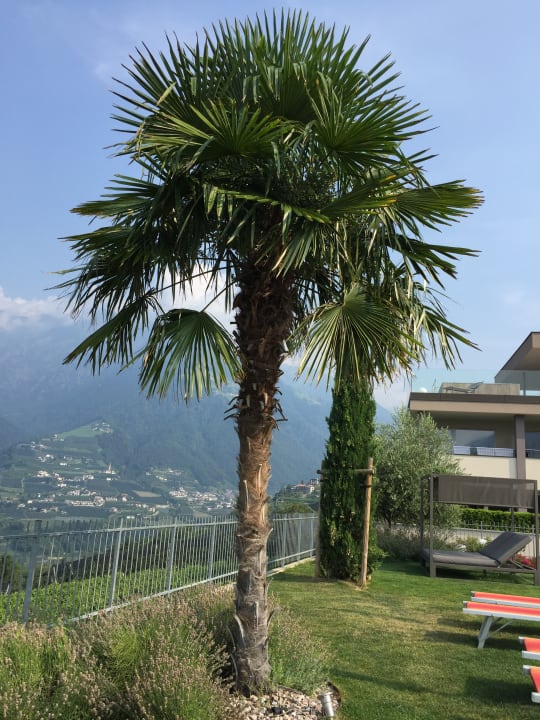 Gartenanlage Alpenpalais Kröll