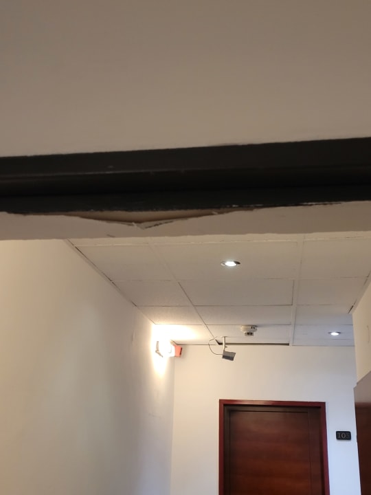 Zimmer Garner Hotel Vienna