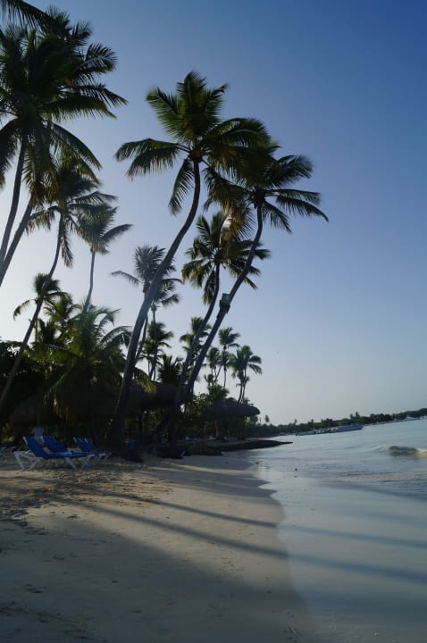 Strand beim Hotel Dreams Dreams La Romana Resort & Spa