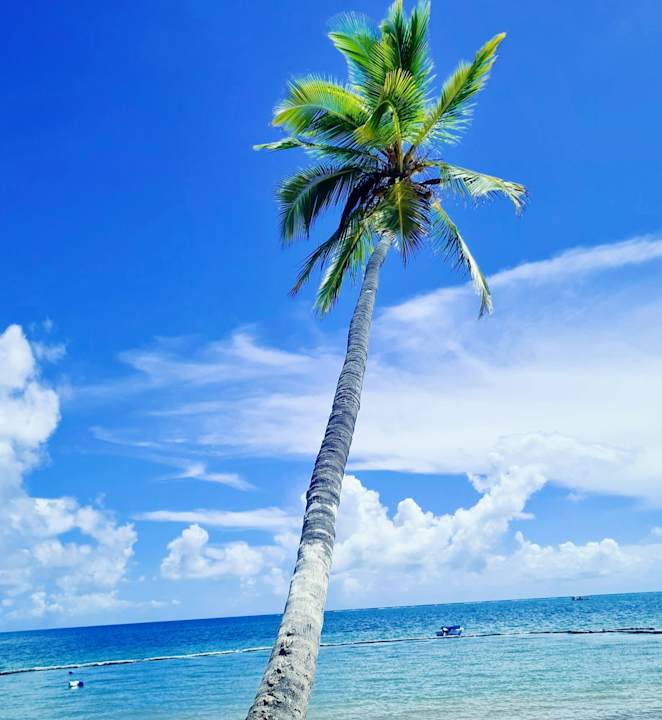 Strand Dreams Flora Resort & Spa - All Inclusive
