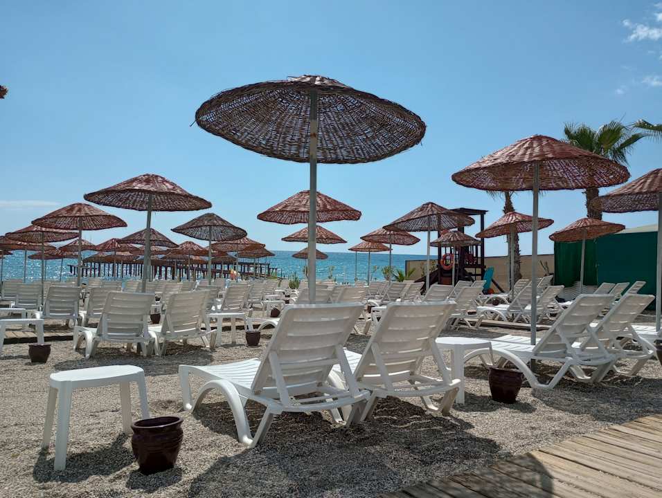 Strand Dizalya Palm Garden