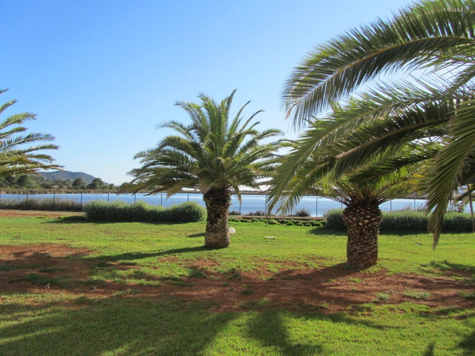 Blick ins Naturschutzgebiet Grand Palladium Select Palace Ibiza