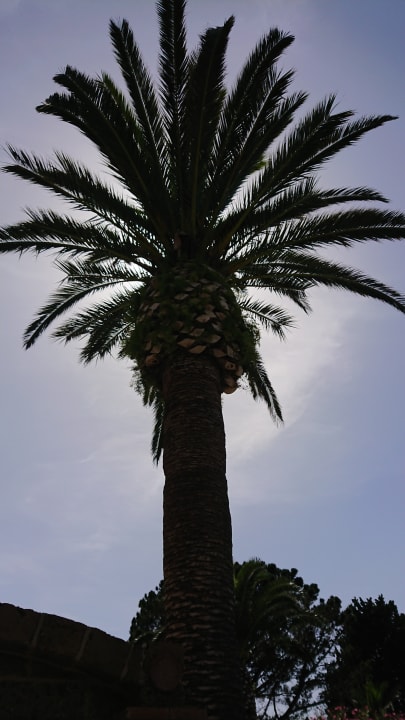 Gartenanlage Aldiana Club Rocca Nettuno Calabria