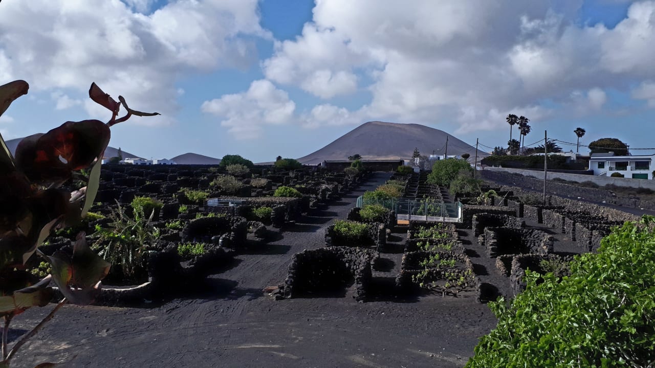 Außenansicht Finca de la Florida