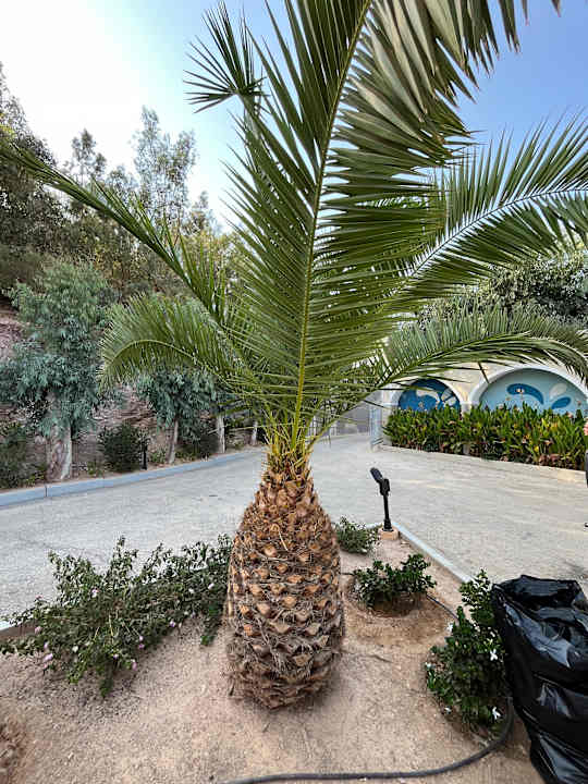 Ausblick Fodele Beach & Water Park Holiday Resort