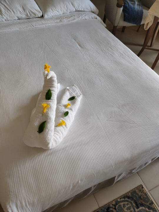 Zimmer Serenity Alpha Beach