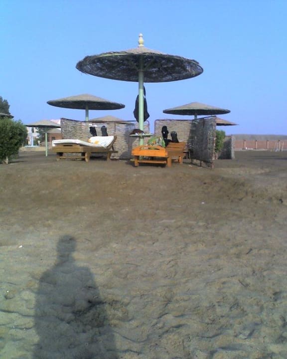 Ombrelloni e lettini Shams Alam Beach Resort