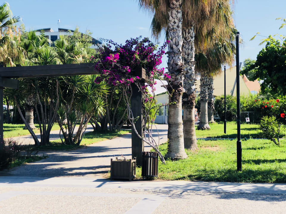 Gastro TUI BLUE Xanthe