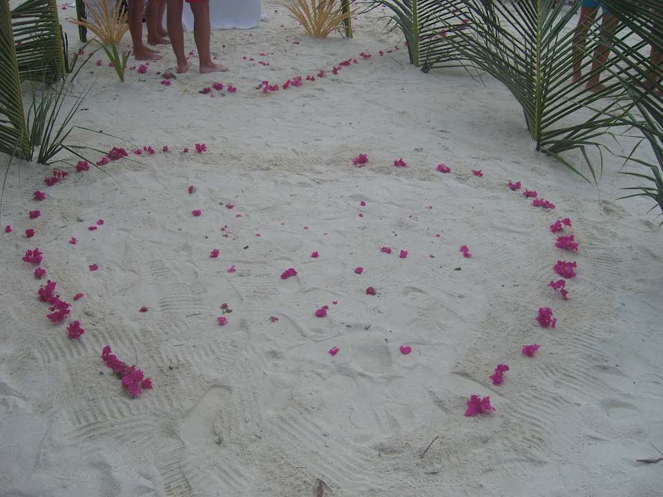 Miit sehr viel Liebe zum Detail für uns dekoriert Summer Island Maldives