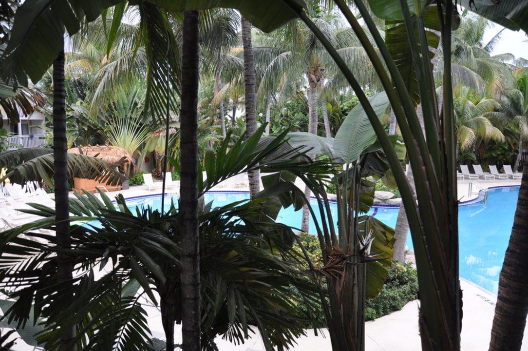 Pool Havana Cabana at Key West