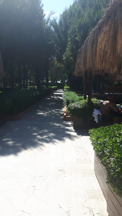 Gartenanlage Club Turtas Beach Hotel