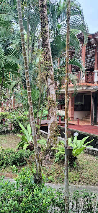 Ausblick Khao Lak Bayfront Resort