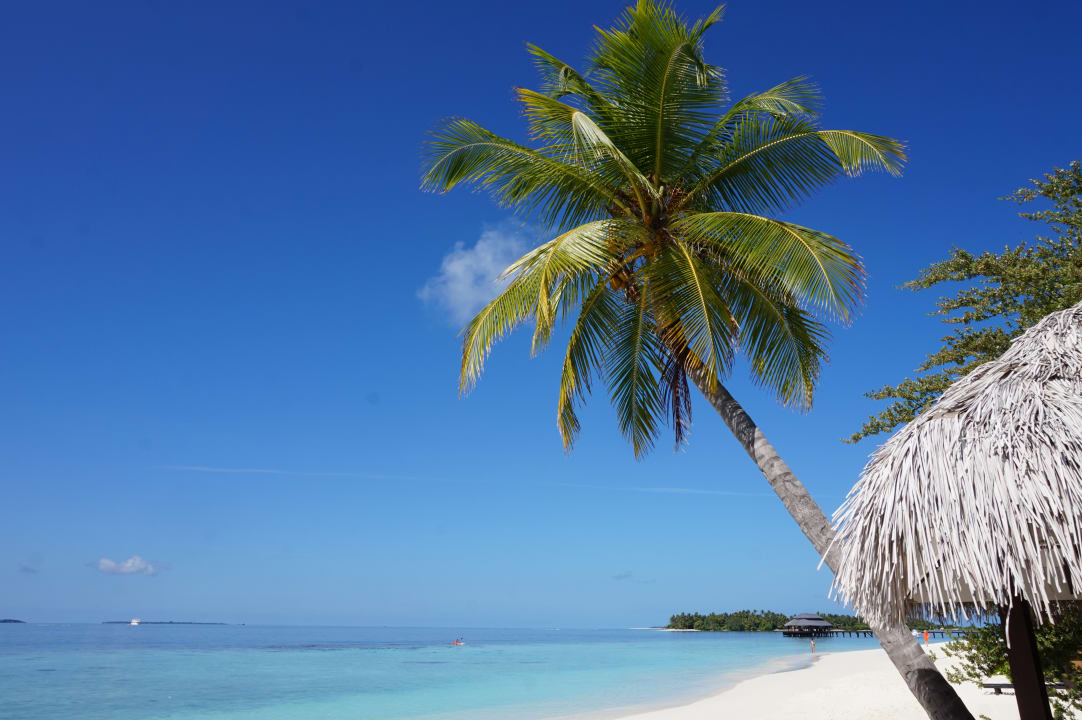 Strand Kihaa Maldives