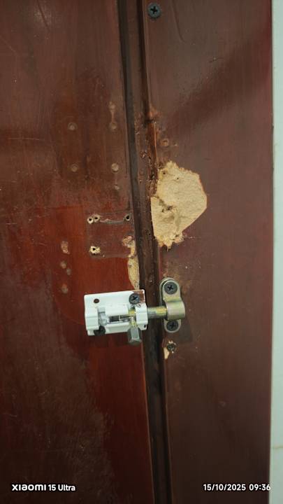 Sonstiges Sunshine Rhodes